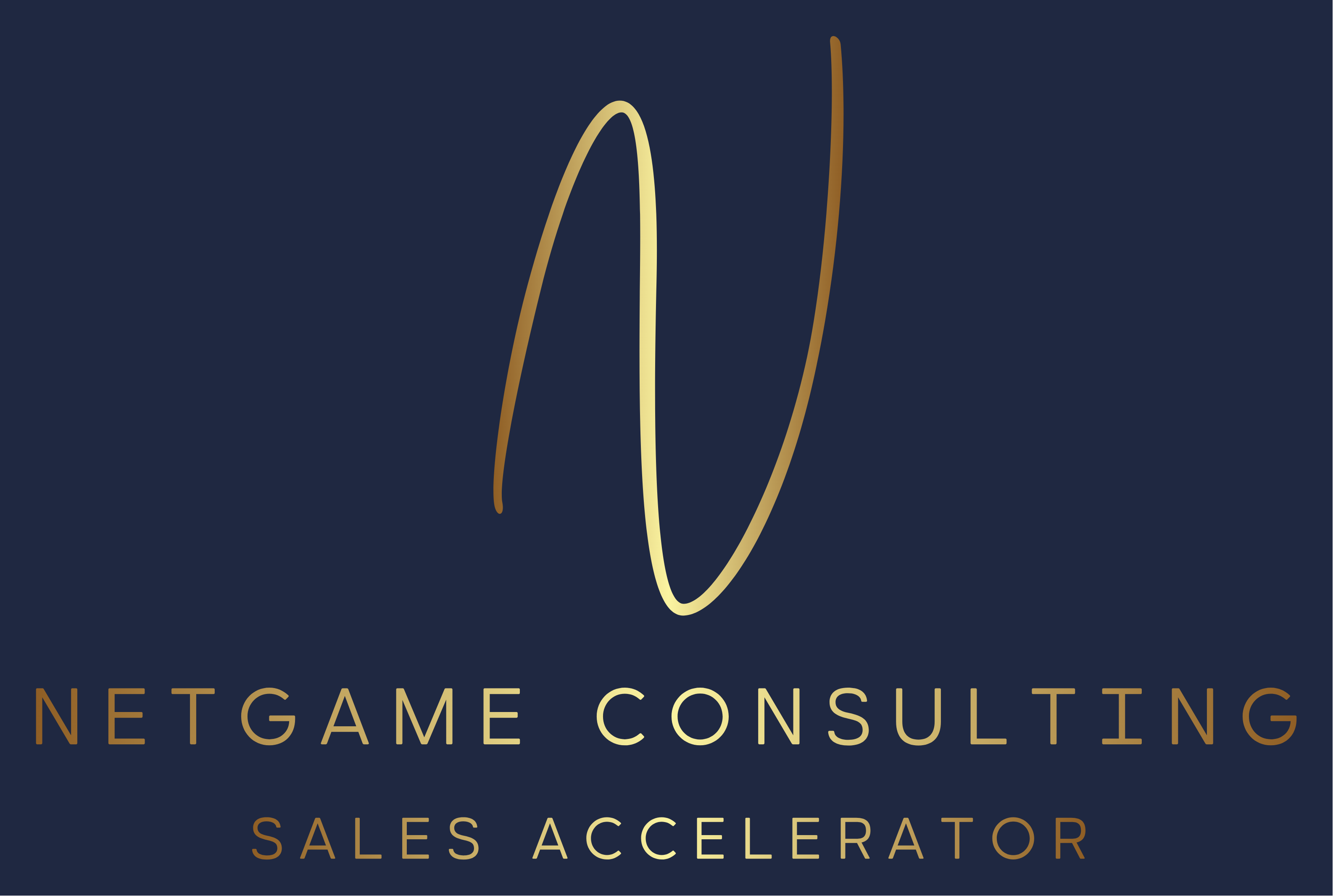 Netgame Consulting